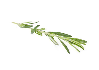 Fototapeta premium Rosemary Isolated on White Background