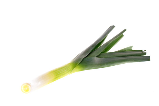 Fresh leek isolated on white