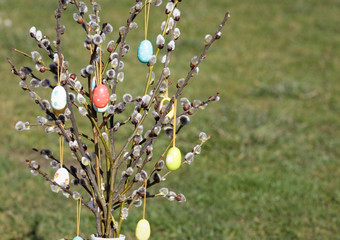 Easter eggs on willow twig
