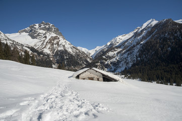 Fototapeta na wymiar Panorama Alpino