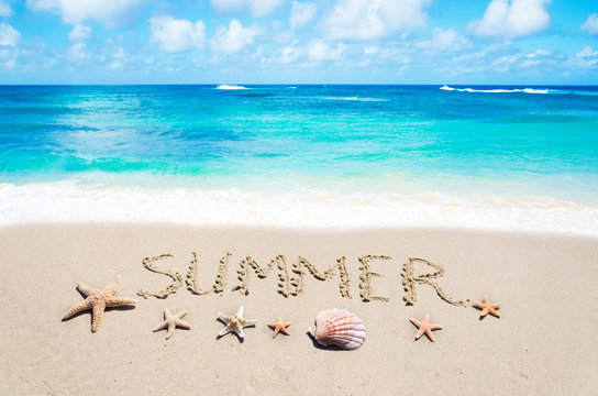 Fototapeta Starfish and seashell on the sandy beach