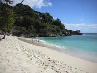 Fototapeta na wymiar Plaża Dominikana