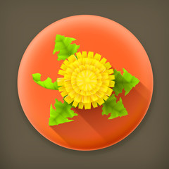 Yellow Dandelion, long shadow vector icon