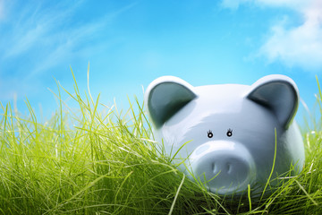 Coin bank sitting on grass