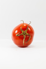 close-up red tomato
