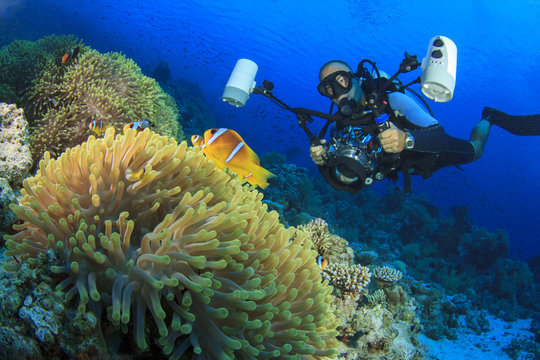 Underwater Photographer and Clownfish