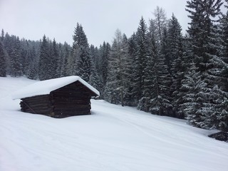 Baita e bosco innevati