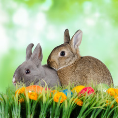 Kuschelnde Osterhasen