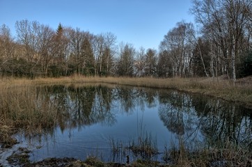 Fototapeta na wymiar Lac noir et chemin des charbonniers.