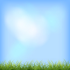 Obraz premium Green grass blue sky natural background