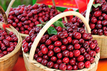 cherry fruit
