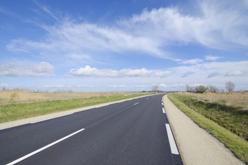 Road in the Camargue, France.