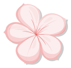 A five-petal pink flower
