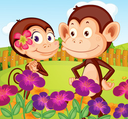 Obraz na płótnie Canvas Two monkeys at the garden in the hilltop