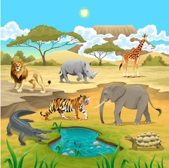 Poster Afrikaanse dieren in de natuur. © ddraw