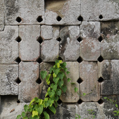 Stone wall with holes, green plant, Phnom Bok, Angkor, Cambodia