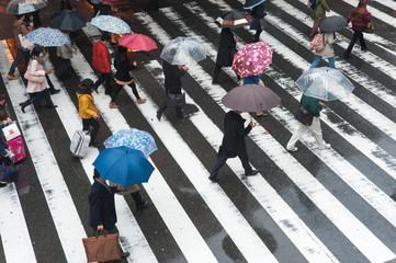 雨の中で傘を差して横断歩道を渡る人々