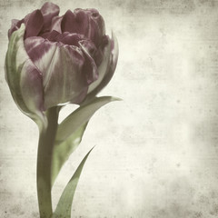 textured old paper background