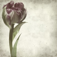 textured old paper background