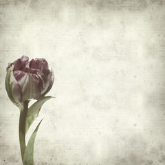 textured old paper background