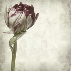 textured old paper background
