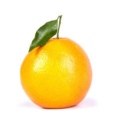 grapefruit