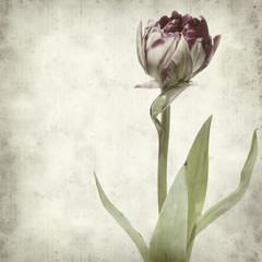 textured old paper background