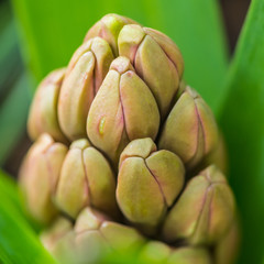 Obraz premium Underway