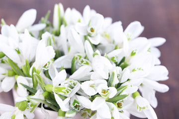 Beautiful snowdrops on bright background