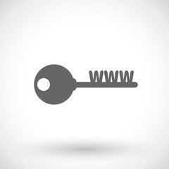 Web key icon, Turnkey website