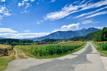 Crossroads in Alps