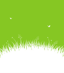 Summer background with grass