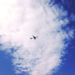 The plane in the sky