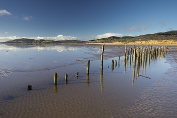 Sticks on Mersehead beach.