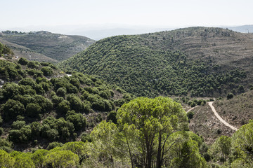 Hügellandschaft bei Bikfaya, Libanon