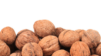 Bunch of walnuts. Close up.