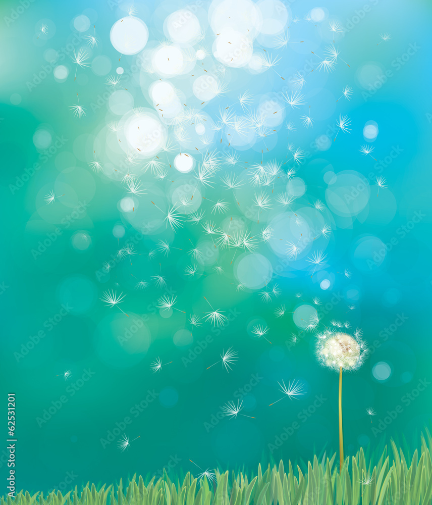 Wall mural vector of spring background with white dandelion.