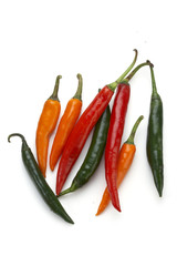 red and green chili on white background