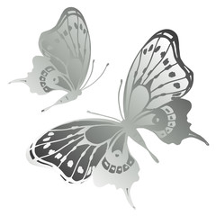 butterflies design