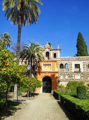 Fototapeta premium jardin de l'Alcazar