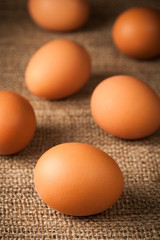 Eggs on the burlap