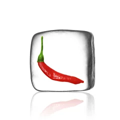 Foto auf Acrylglas Chili im Eiswürfel © Pixxs