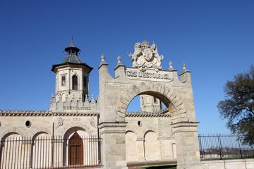 Fototapeta premium chateau du vignoble bordelais