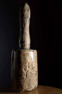 wooden mallet wood borers moth