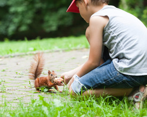 Little boy and squirrel