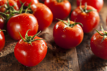 Organic Red Ripe Tomatoes - obrazy, fototapety, plakaty