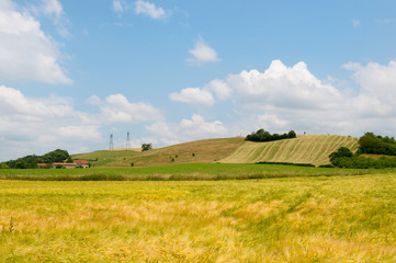 Agricultural landscape in France