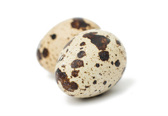 quail eggs