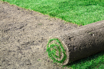 Installing new lawn