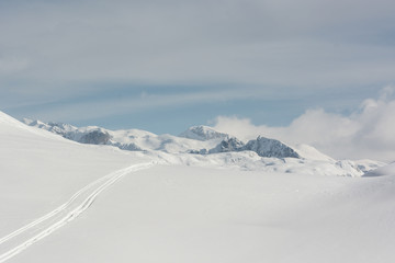 Ski track in a snow